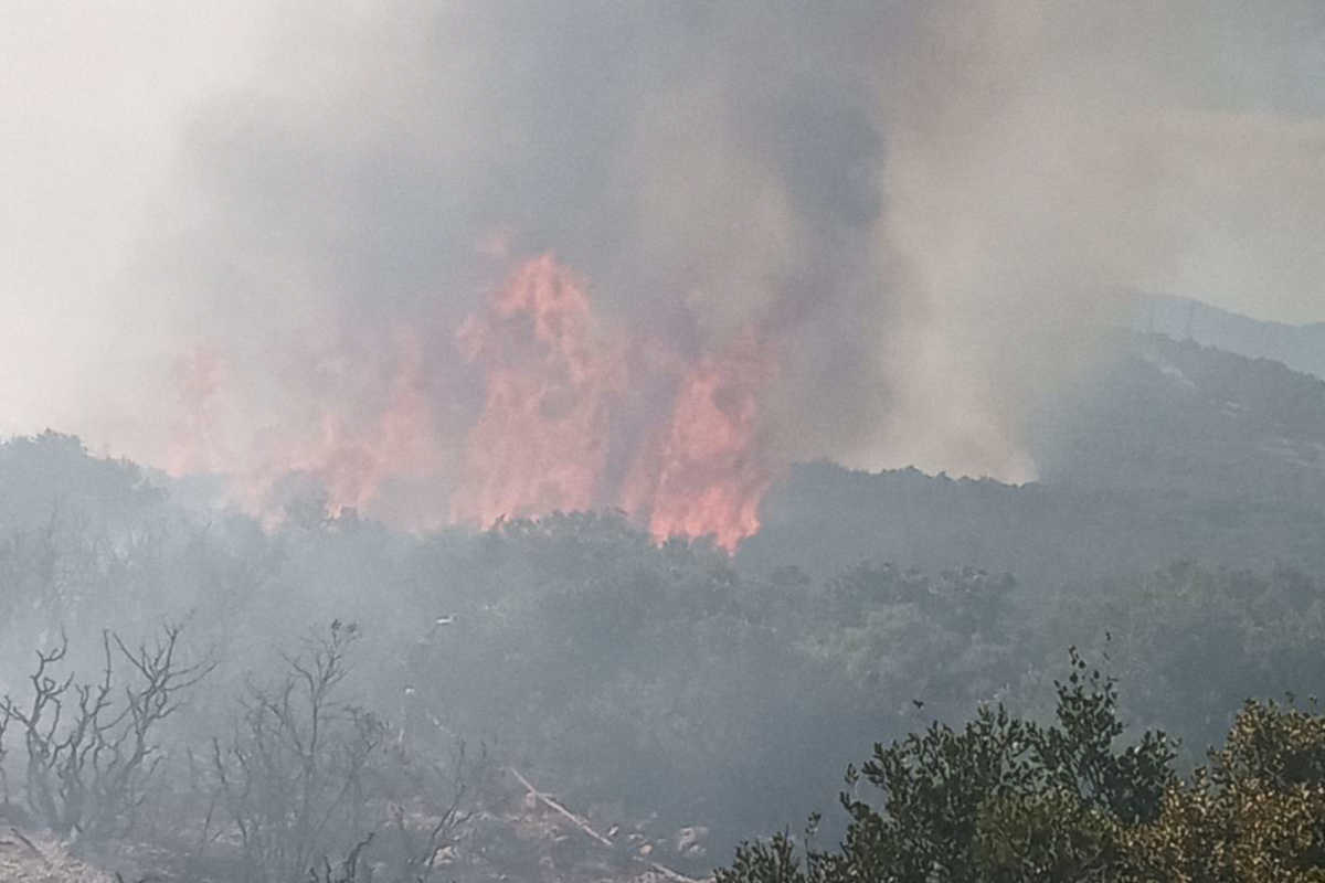 Κρήτη: Μεγάλη φωτιά στις Γωνιές Μαλεβιζίου