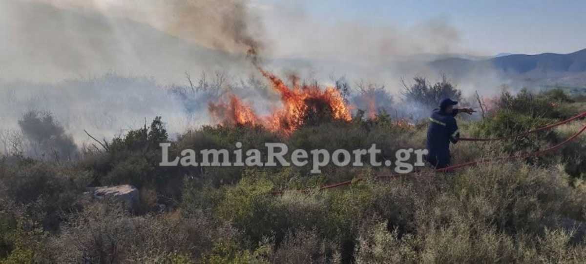 Ανεξέλεγκτη η φωτιά στη Βοιωτία (pics)