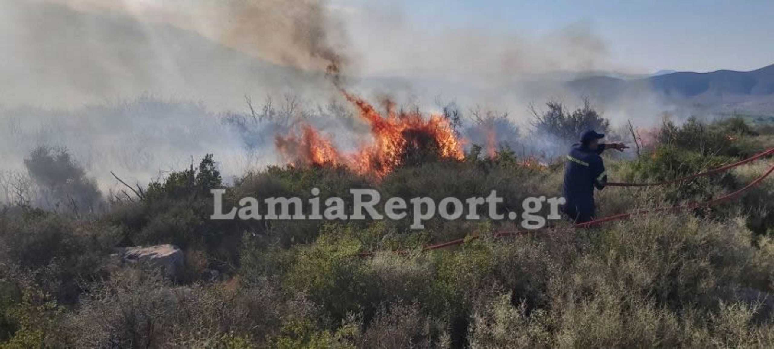 Ανεξέλεγκτη η φωτιά στη Βοιωτία (pics)