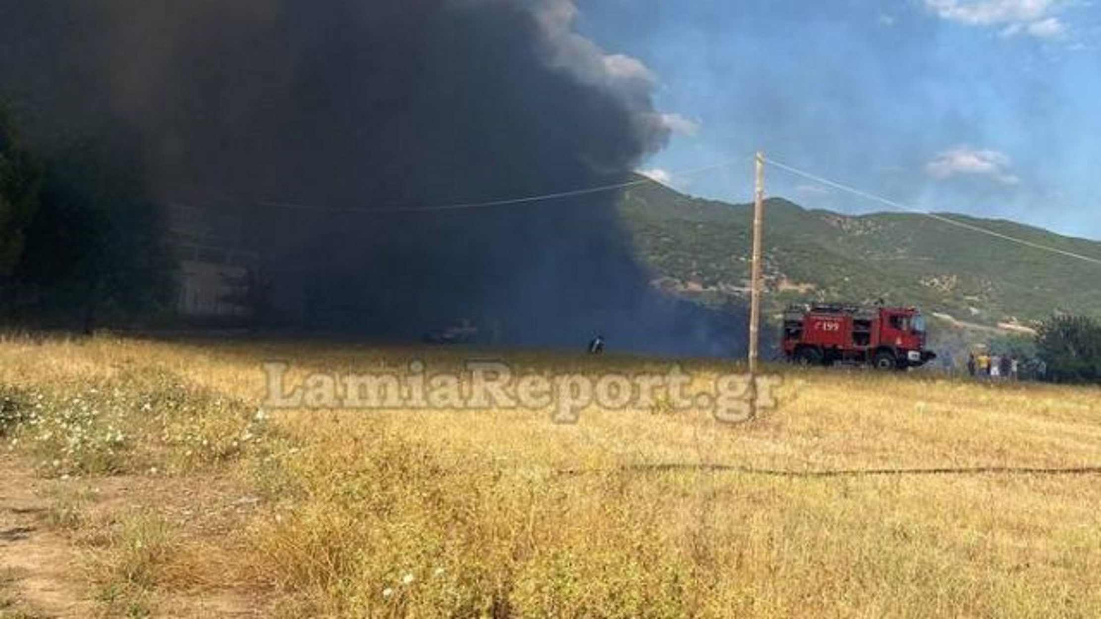 Φωτιά στη Φθιώτιδα: Σκοτείνιασε ο ουρανός στο Παλιούρι Μακρακώμης (pics)