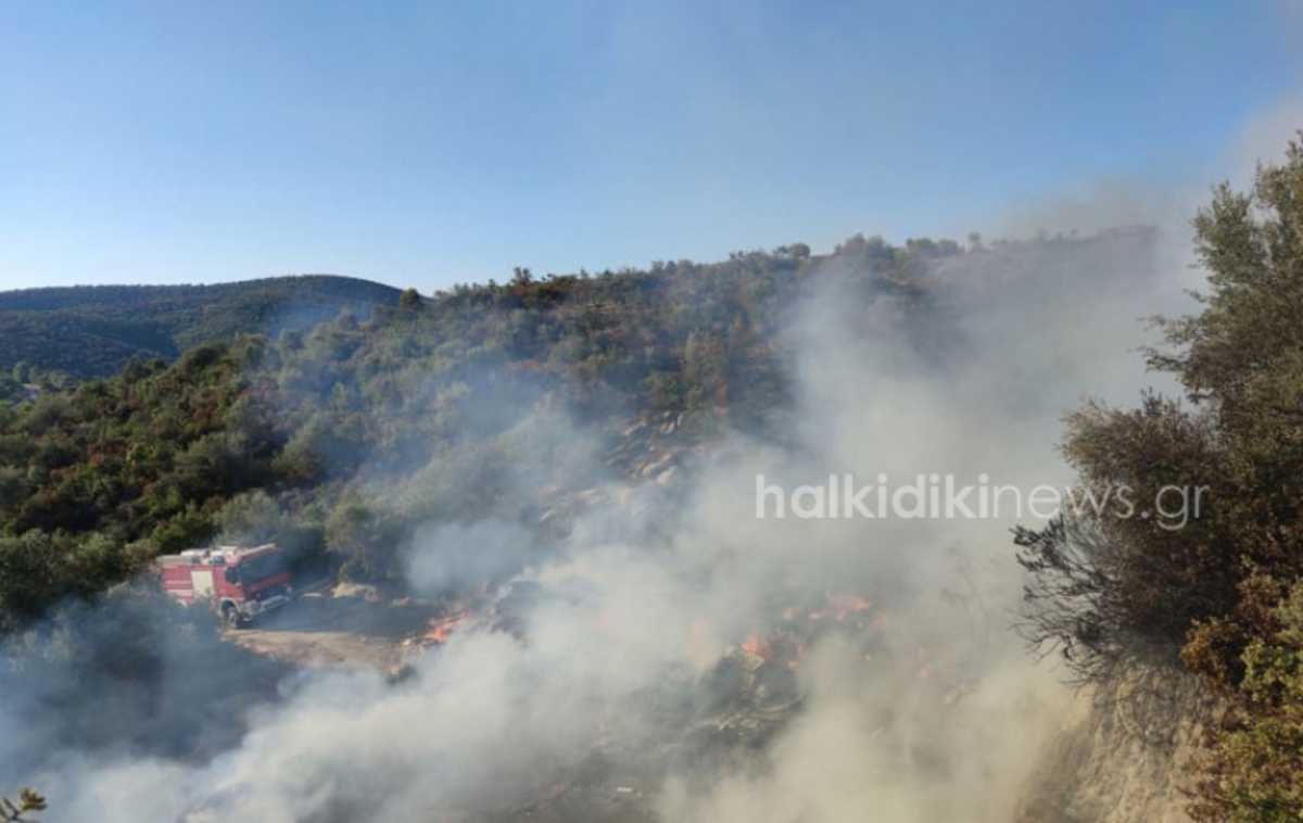 Φωτιά στη Σιθωνία Χαλκιδικής (pics)