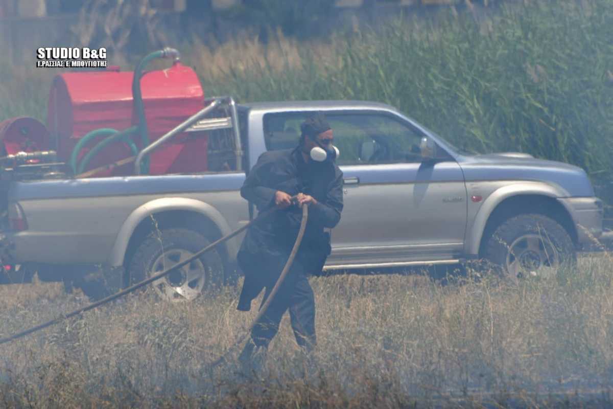Αργολίδα: Φωτιά στην παραλιακή Ναυπλίου – Νέας Κίου! Επί τόπου πυροσβέστες