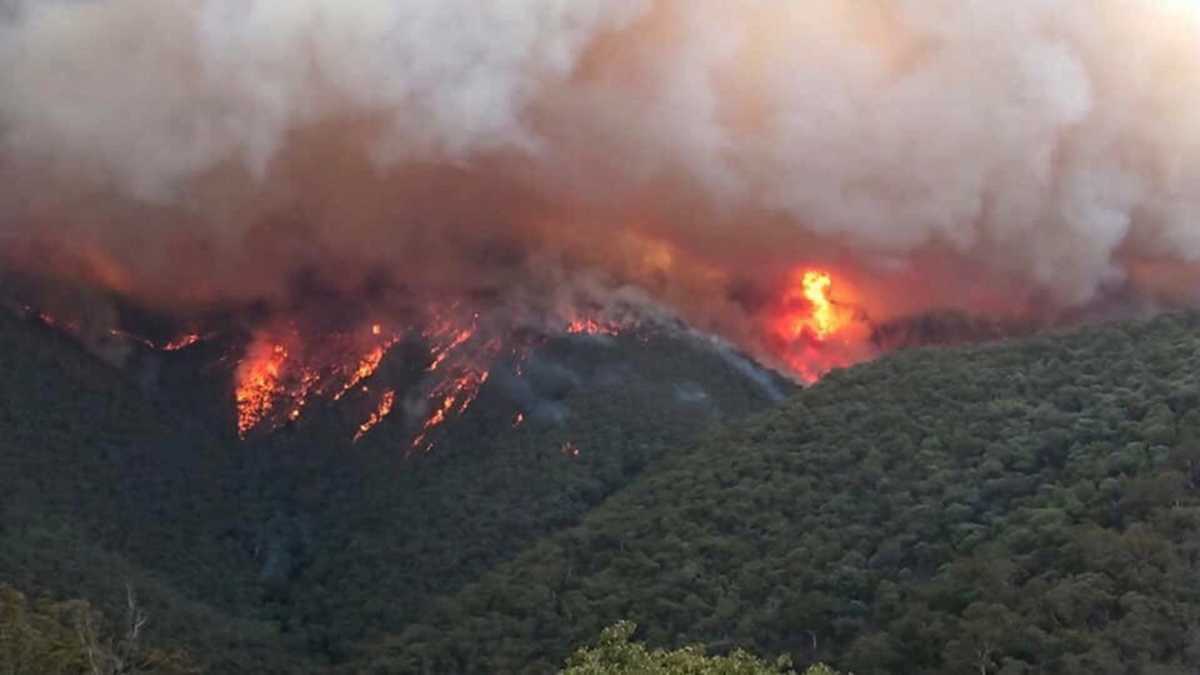 Επίδαυρος: Ολονύχτια μάχη για να μην ξεφύγει η φωτιά