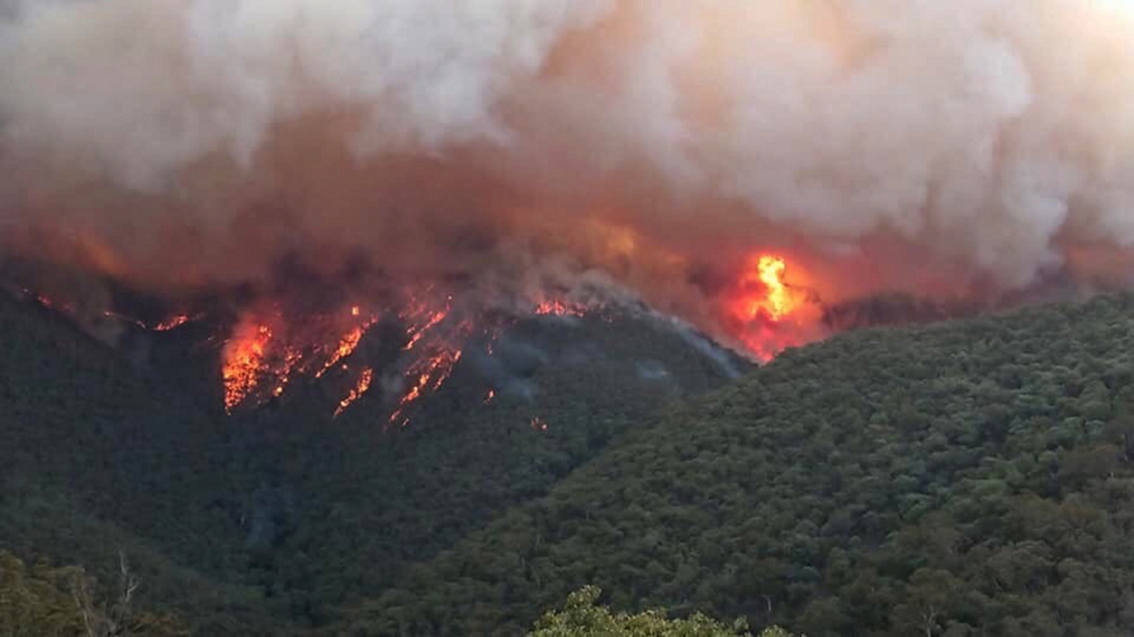 Πυροσβεστική: 57 φωτιές σε 24 ώρες – 740 πυροσβέστες στη μάχη με τις φλόγες