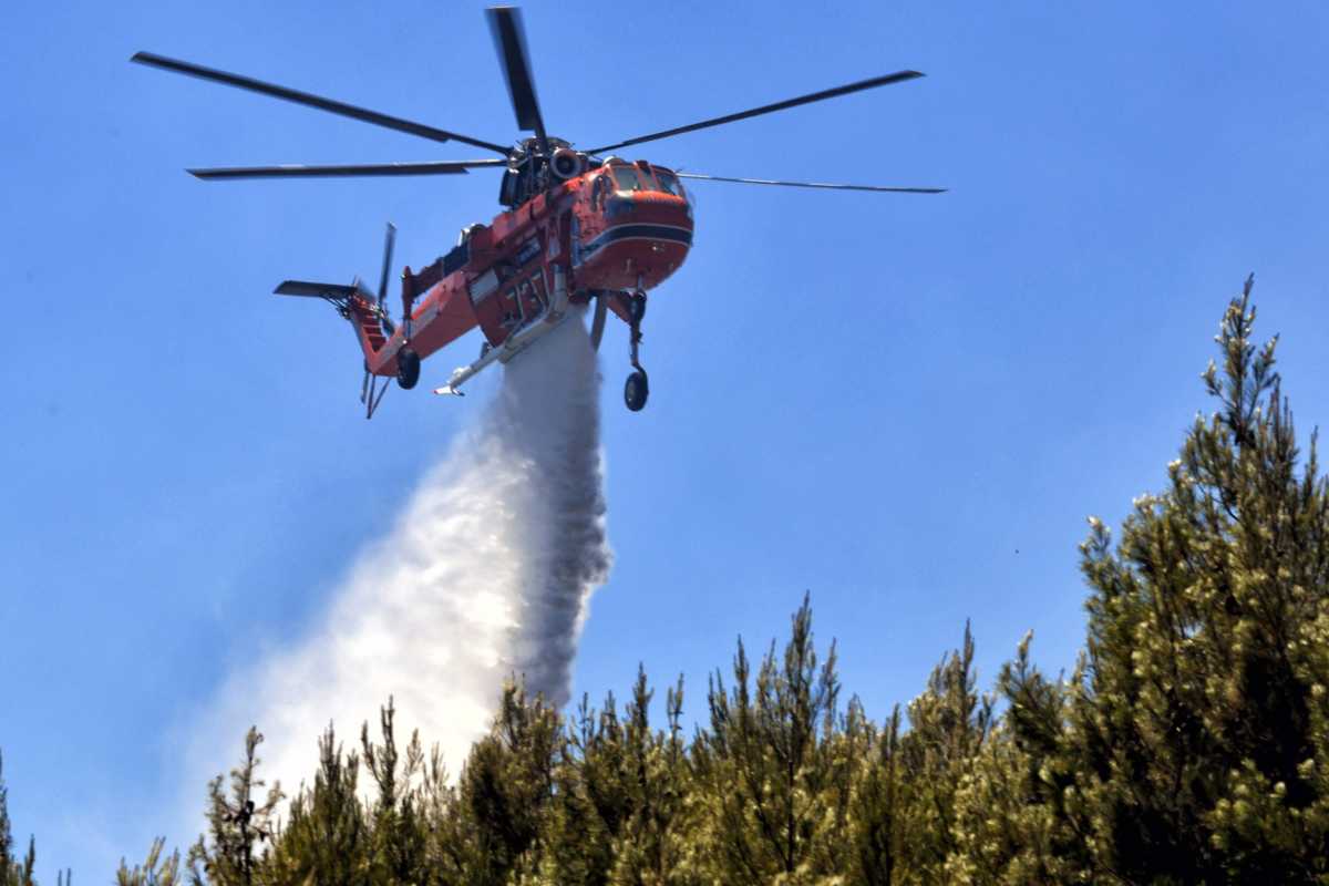 Φωτιά στην Φυλή κοντά στο γήπεδο του Θρασύβουλου