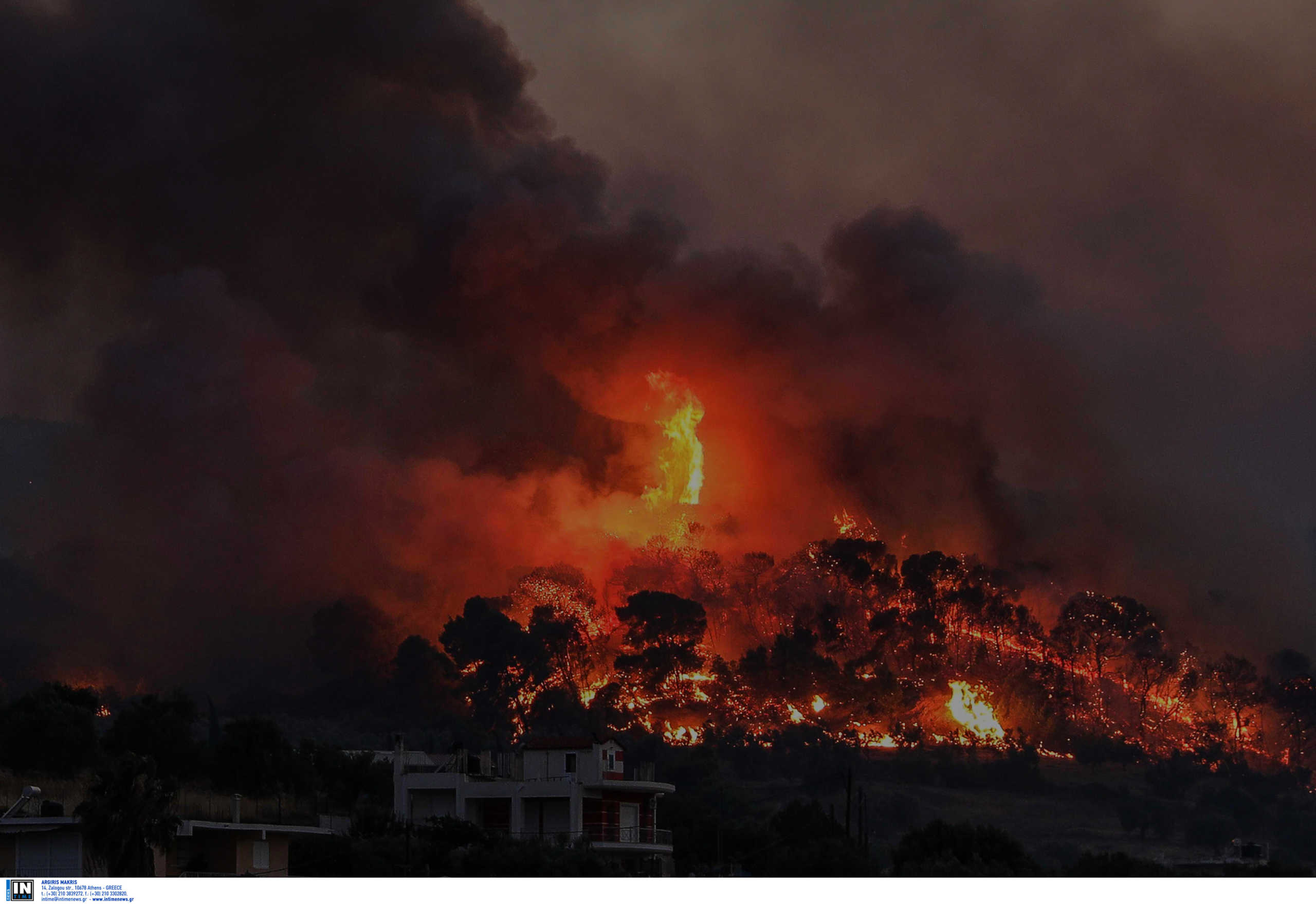 Φωτιά στη Μάνη: Σκληρή μάχη δίνουν οι πυροσβέστες με τις φλόγες
