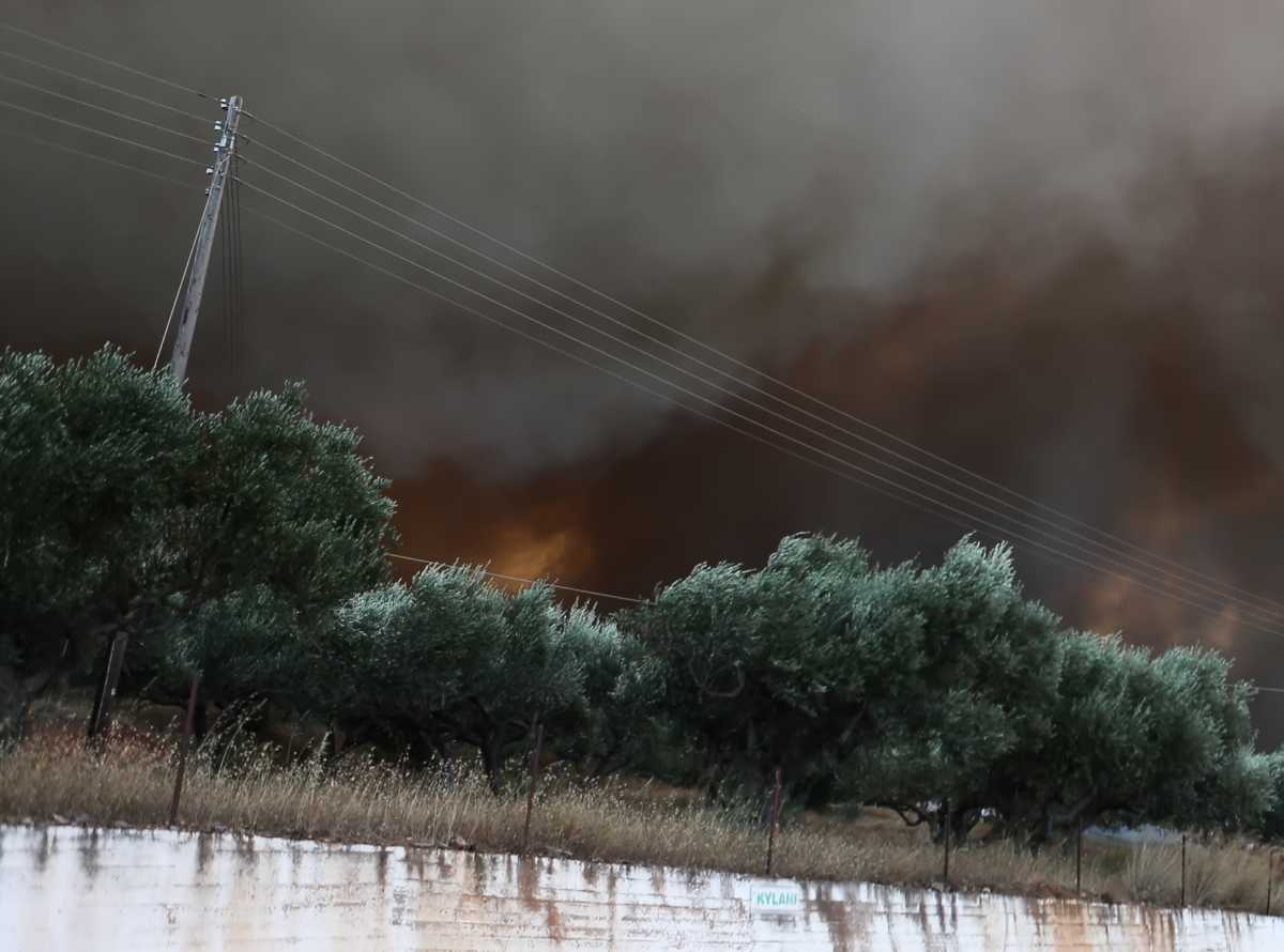 48 δασικές πυρκαγιές το τελευταίο 24ωρο