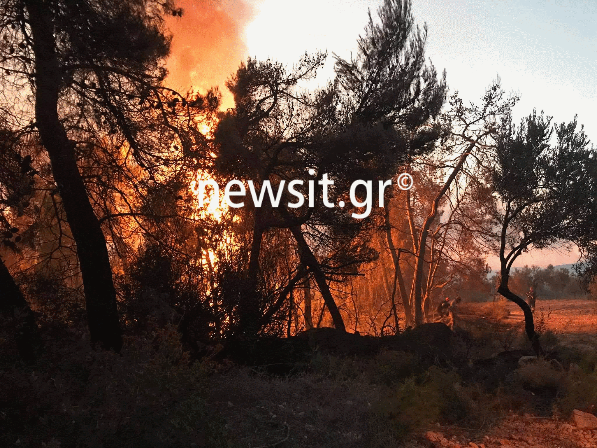 Κόρινθος: Δεν εκκενώνεται το Σοφικό λέει η πυροσβεστική – Σε ύφεση  η φωτιά