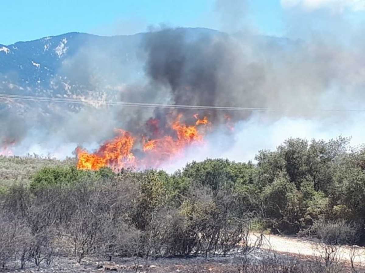 Φωτιά σε δάσος στην Κεφαλονιά