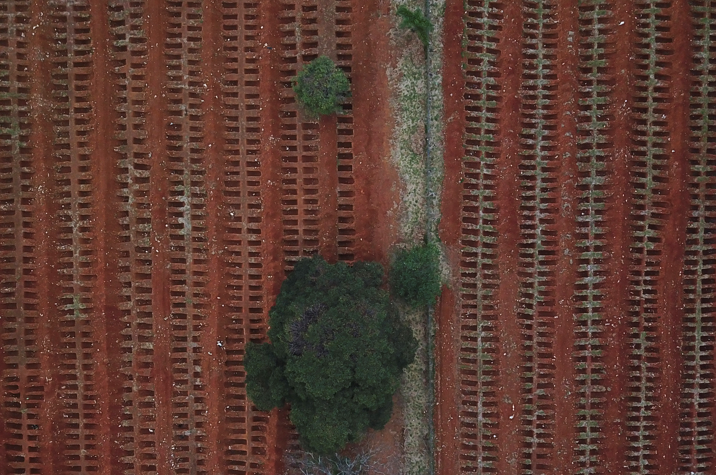 Open graves are seen during the outbreak of the coronavirus disease (COVID-19), at Vila Formosa cemetery, Brazil's biggest cemetery, in Sao Paulo, Brazil, June 26, 2020. Picture taken with a drone. REUTERS