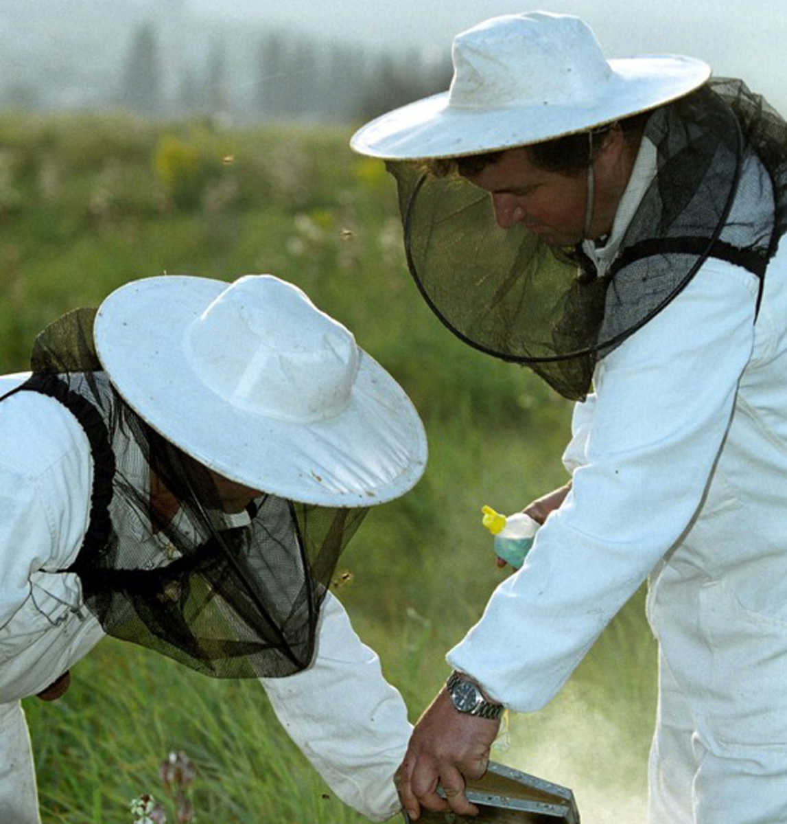 Λονδίνο: Σερβιτόροι μπαρ θα υποδέχονται τους πελάτες με… στολές μελισσοκόμων!