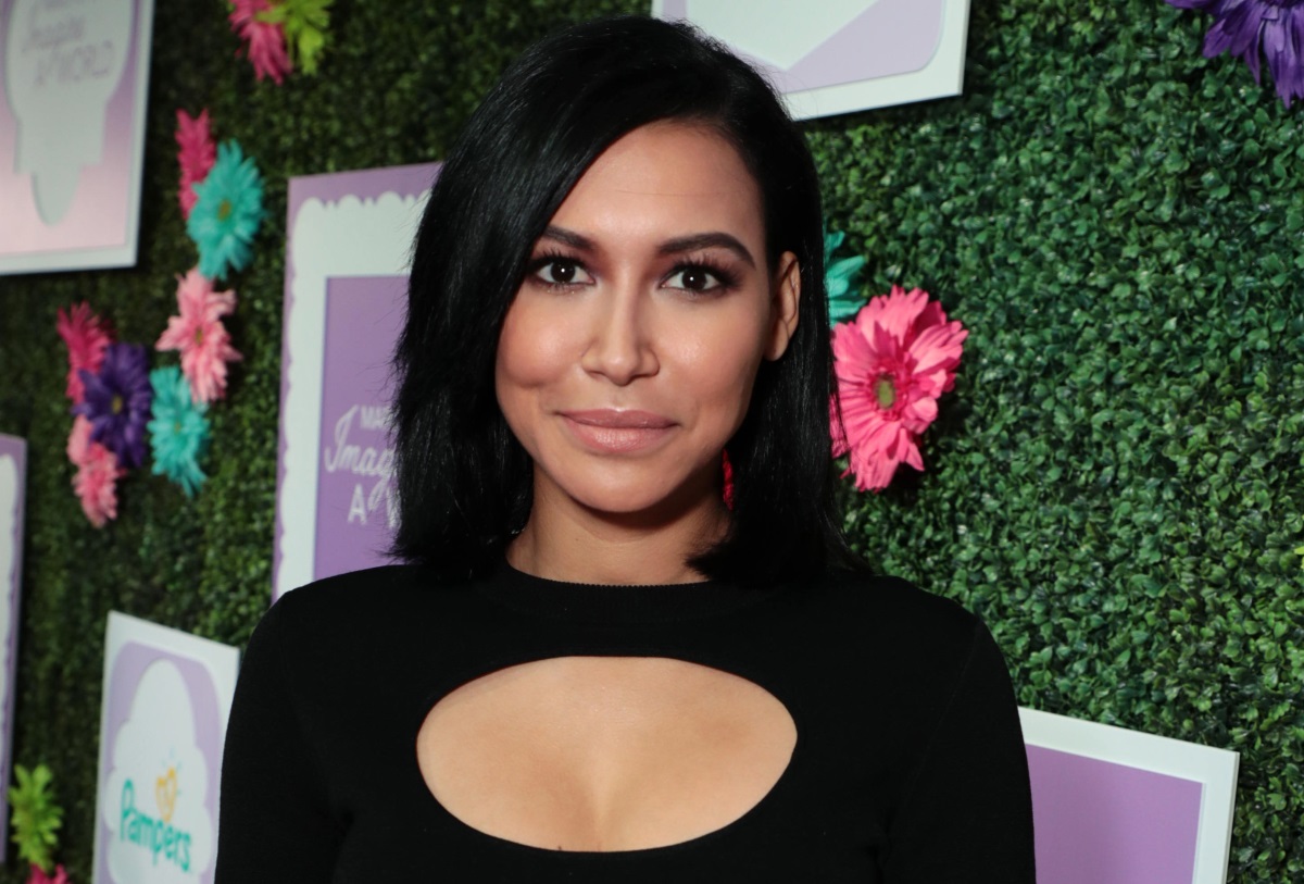 Mandatory Credit: Photo by Eric Charbonneau
Naya Rivera
March of Dimes: Imagine a World Premiere at LA Live: Microsoft Square, Los Angeles, CA, USA - 9 November 2017
