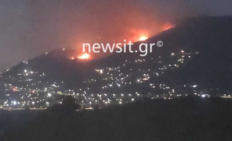 «Η χειρότερη καταστροφή την τελευταία δεκαετία στην περιοχή», λέει ο δήμαρχος για τη φωτιά στη Σαρωνίδα