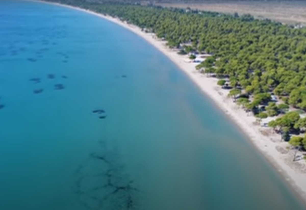 Εξωτικές εικόνες από τη μεγαλύτερη παραλία της Αττικής