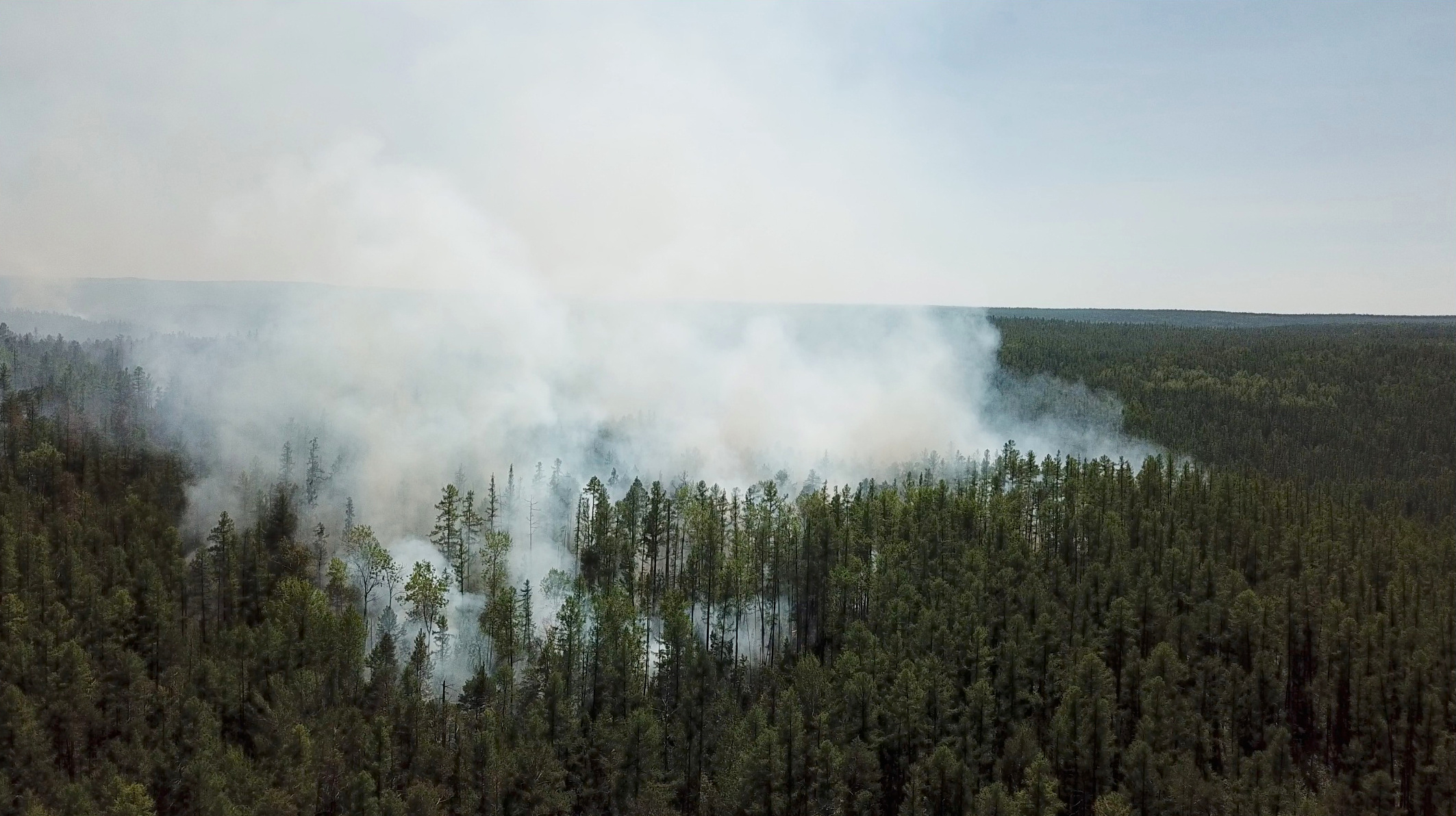 An aerial view shows smoke rising from a forest fire burning in Krasnoyarsk region, Russia, in this still image taken from undated handout video obtained by Reuters July 10, 2020. The Aerial Forest Protection Service