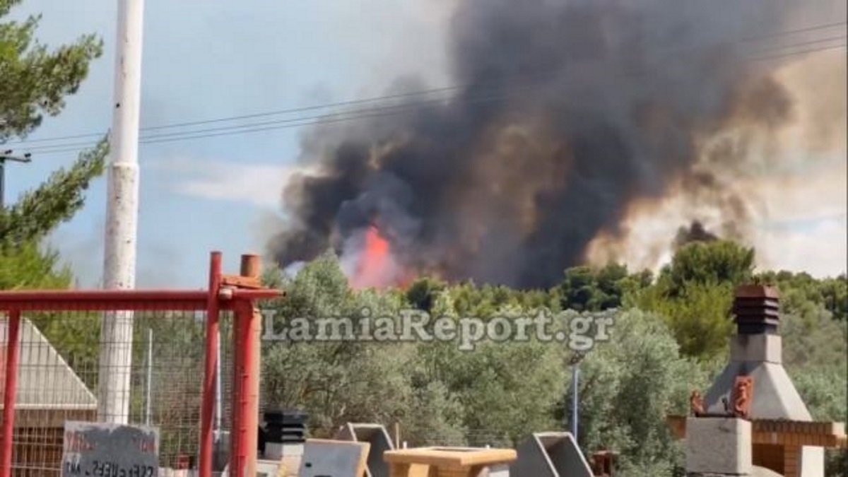 Φωτιά κοντά στον οικισμό του Θεολόγου!