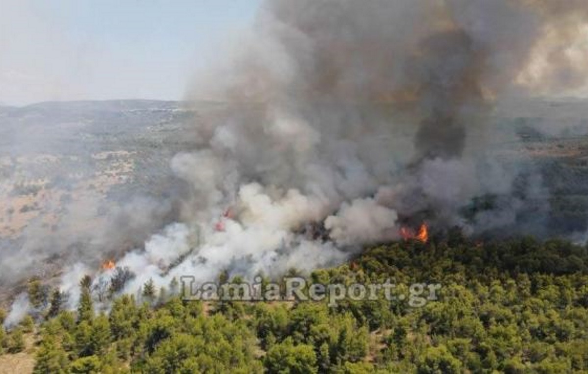 Διέκοψαν την κυκλοφορία στο Θεολόγο λόγω της μεγάλης φωτιάς!