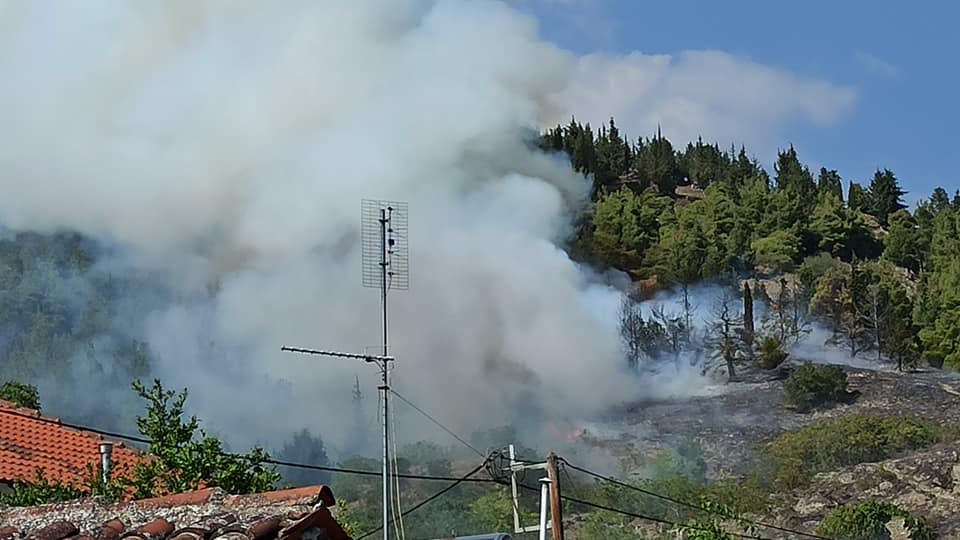 Λάρισα: Συναγερμός στην Ελασσόνα για δασική φωτιά! Οι εικόνες που τράβηξαν κάτοικοι χωριού (Φωτό)