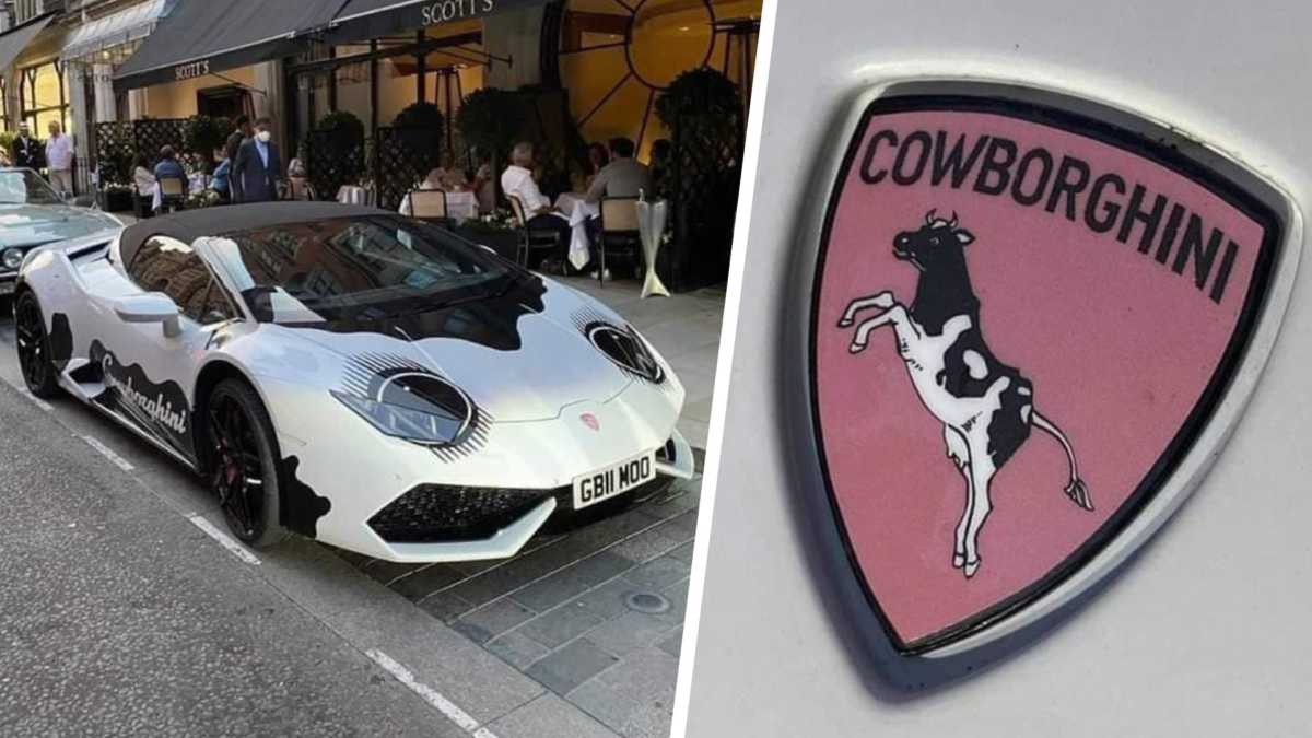 Cowborghini εμπνευσμένη από … αγελάδα!