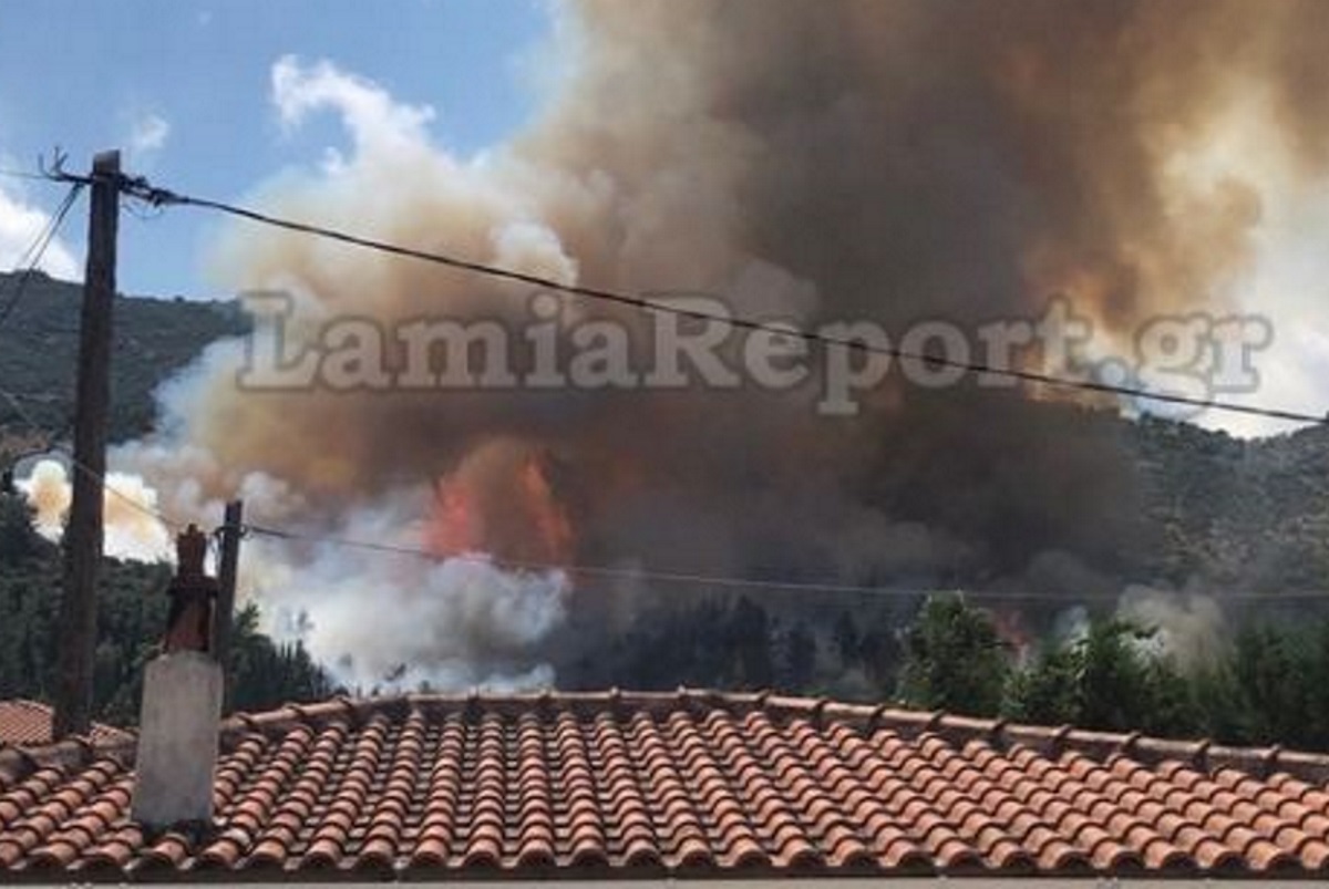 Αταλάντη: Μια ανάσα από τα πρώτα σπίτια έφτασε η φωτιά πριν ελεγχθεί (video)