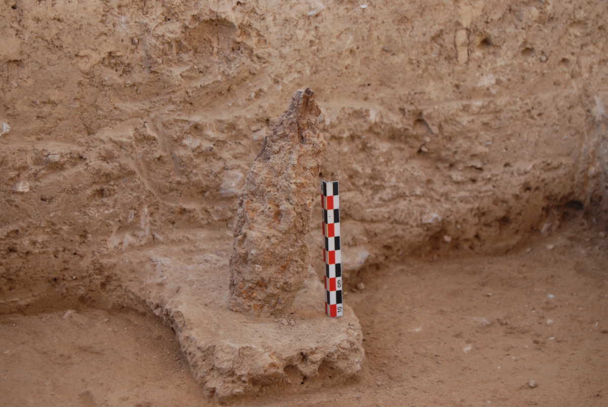 Σημαντικά τα αποτελέσματα της φετινής αρχαιολογικής έρευνας στο Ιερό του Ελικωνίου Ποσειδώνα (pics)