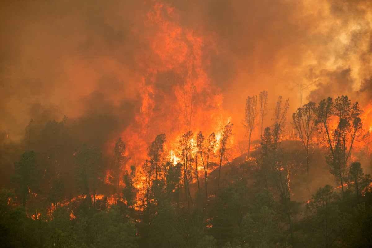 Συναγερμός στην Καλιφόρνια για νέο κύμα καύσωνα – Αυξημένος ο κίνδυνος πυρκαγιών