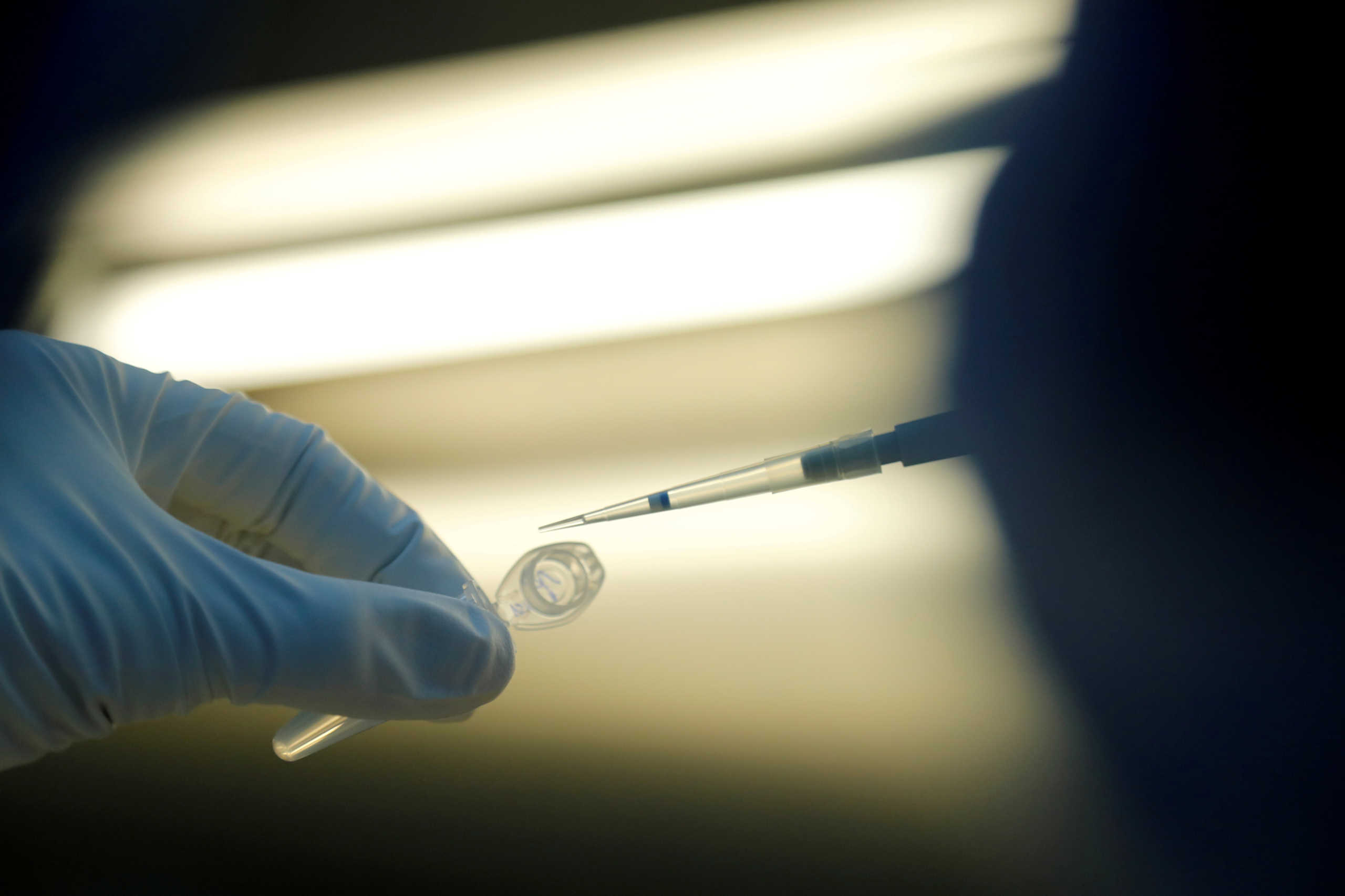 FILE PHOTO: A scientist prepares samples during the research and development of a vaccine against the coronavirus disease (COVID-19) at a laboratory of BIOCAD biotechnology company in Saint Petersburg, Russia June 11, 2020. REUTERS