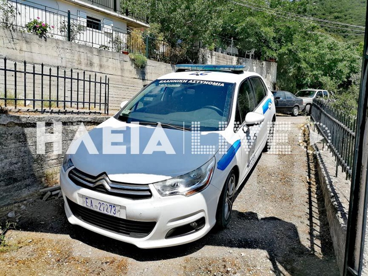 Ηλεία: Έπεσε από δέντρο και σκοτώθηκε!