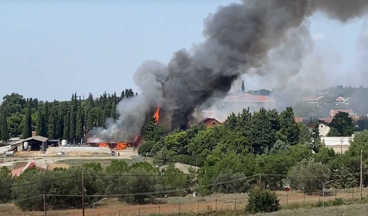 Θεσσαλονίκη: Έσβησε η φωτιά στην Αμερικανική Γεωργική Σχολή – Εκδηλώθηκε στο βουστάσιο