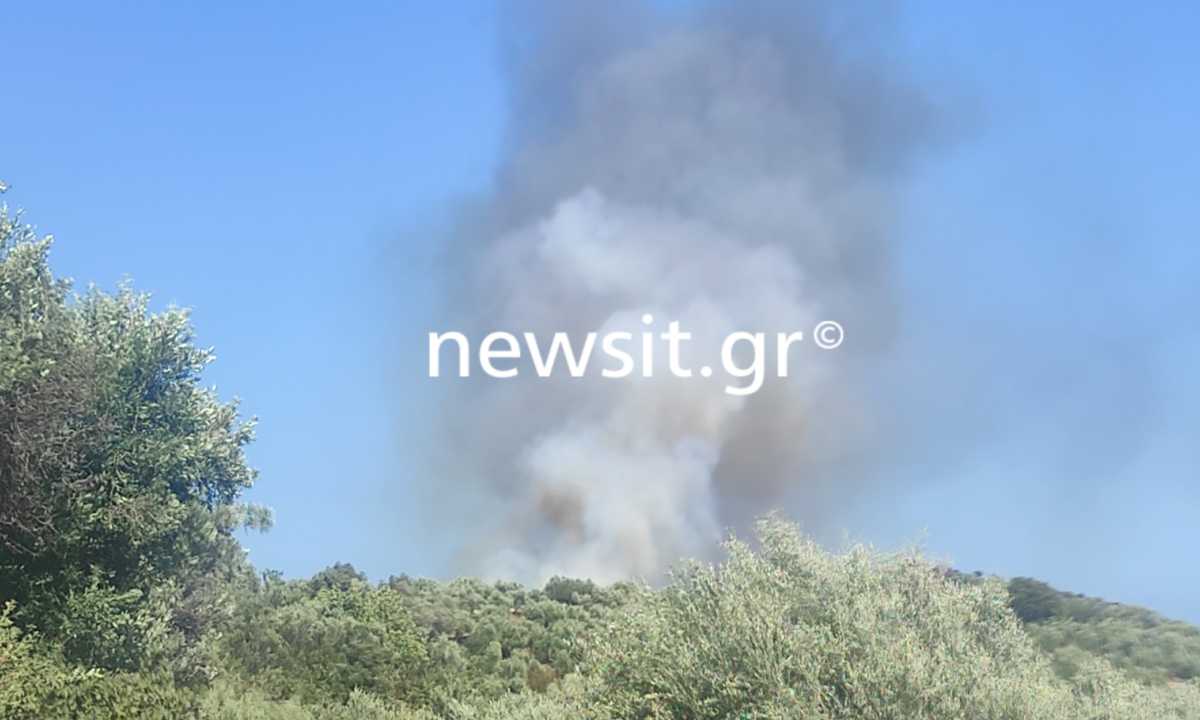 Φωτιά στην ανατολική Μάνη: Εκκενώνεται οικισμός – Ενισχύονται οι πυροσβεστικές δυνάμεις (pics)