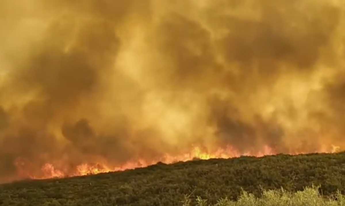 Λακωνία: Καθηλώνουν οι νέες εικόνες από τη μεγάλη φωτιά στη Μάνη! Εκκενώθηκαν οικισμοί (Βίντεο)
