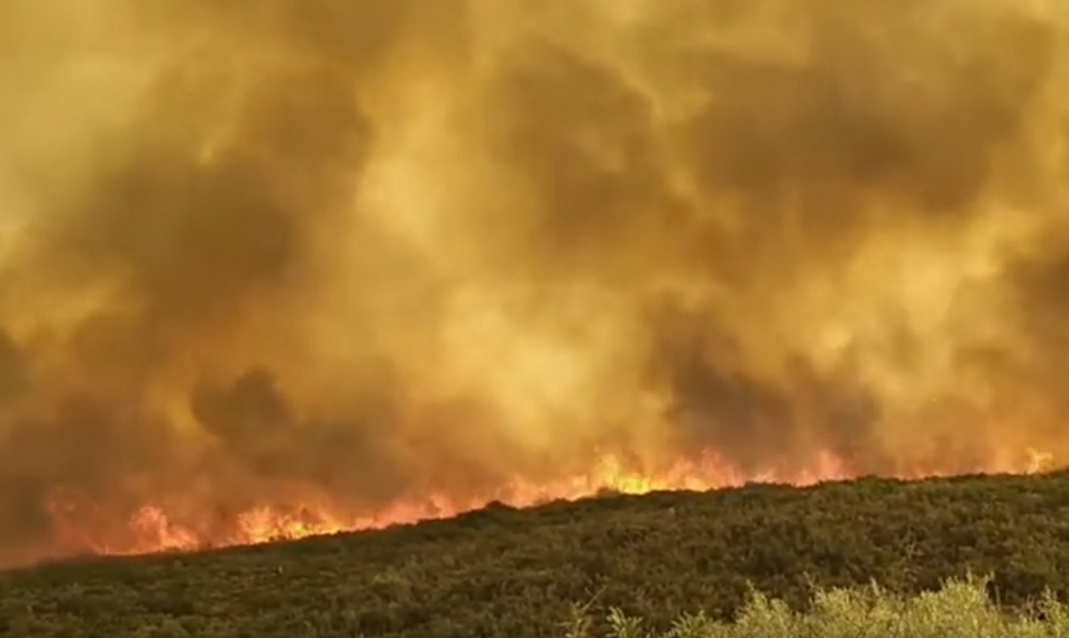 Λακωνία: Καθηλώνουν οι νέες εικόνες από τη μεγάλη φωτιά στη Μάνη! Εκκενώθηκαν οικισμοί (Βίντεο)