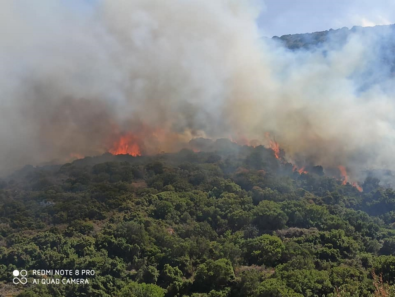 Φωτιά στα Κύθηρα: Μεγάλη επιχείρηση της πυροσβεστικής (pic)