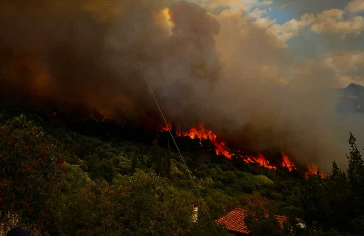 Φωτιά στο Κάτω Σούλι Μαραθώνα