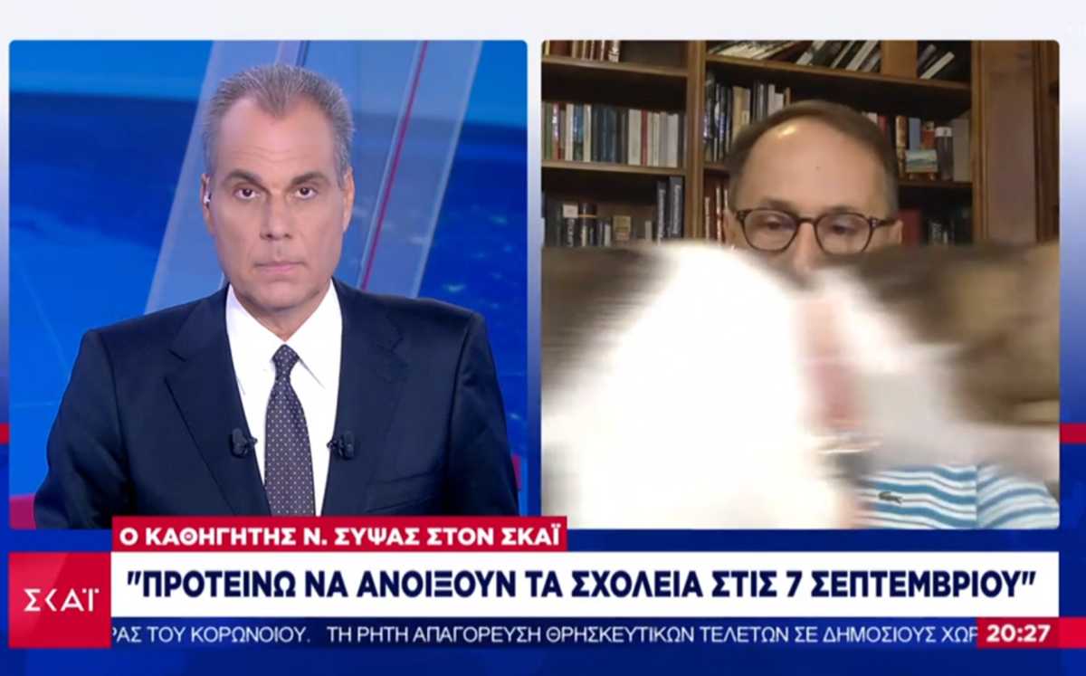 Ήθελε… δημοσιότητα η γάτα του καθηγητή Σύψα! Παρενέβη στη συνέντευξή του!