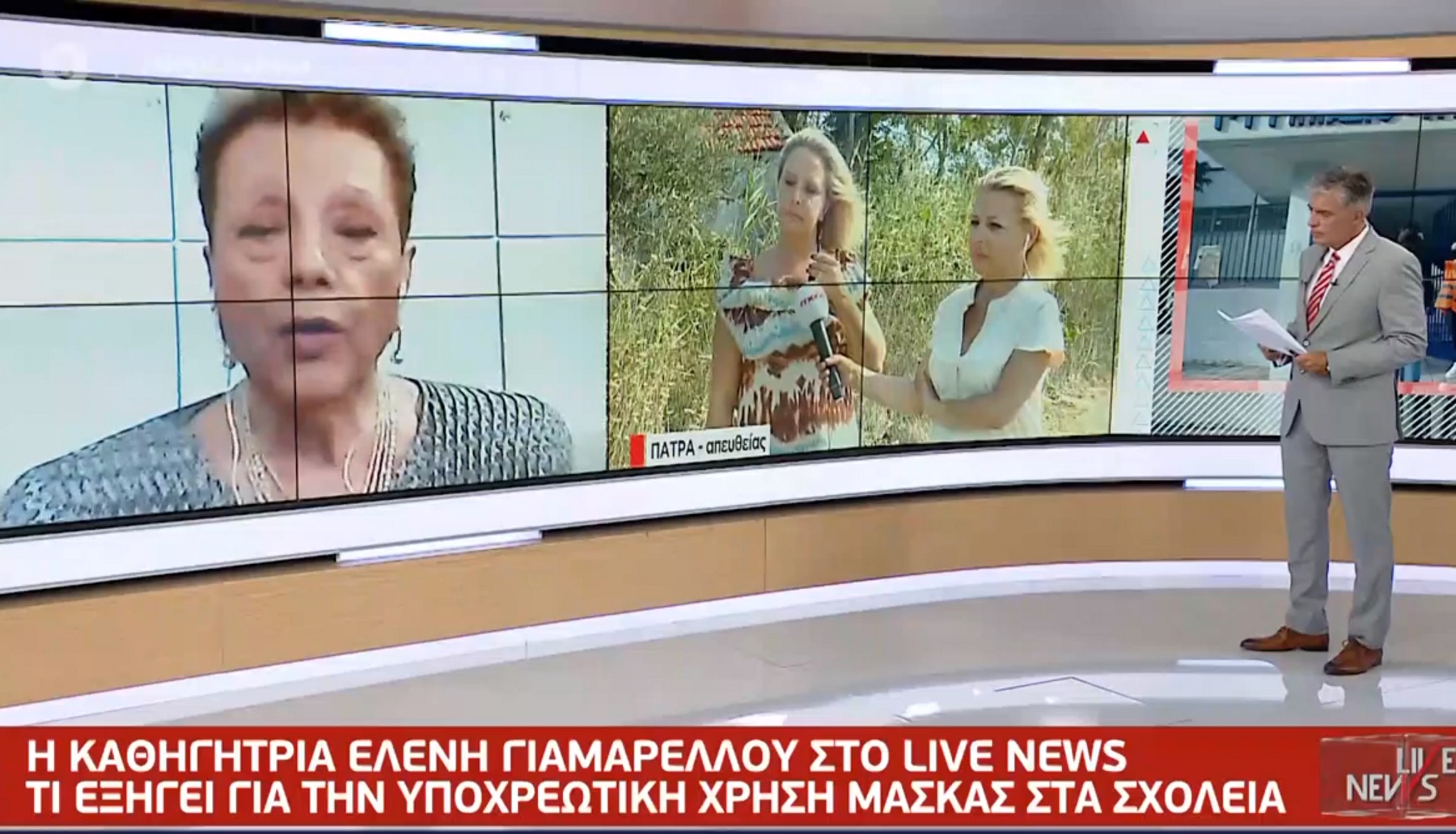 Γιαμαρέλου στο Live News για το άνοιγμα των σχολείων – «Διαλείμματα μάσκας μέσα στην τάξη»