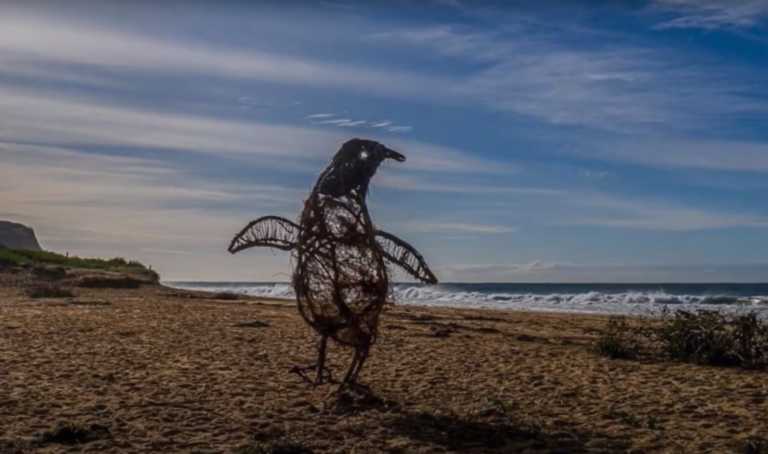 Πρωτοτυπεί καλλιτέχνης στην Αυστραλία – Φτιάχνει γλυπτά ζώα από ξύλα που ξεβράζει ο ωκεανός