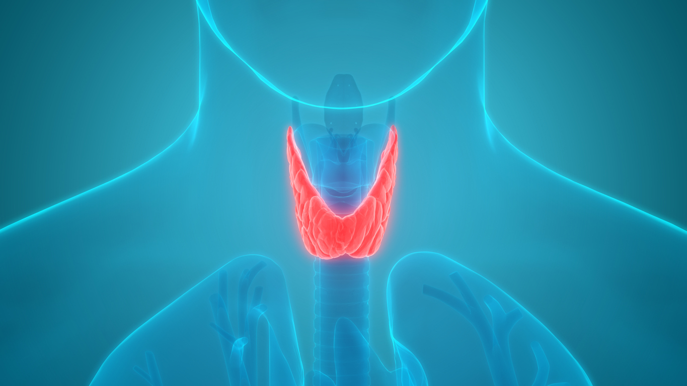 Υποθυρεοειδισμός: Αυτά είναι τα 17 βασικά συμπτώματα