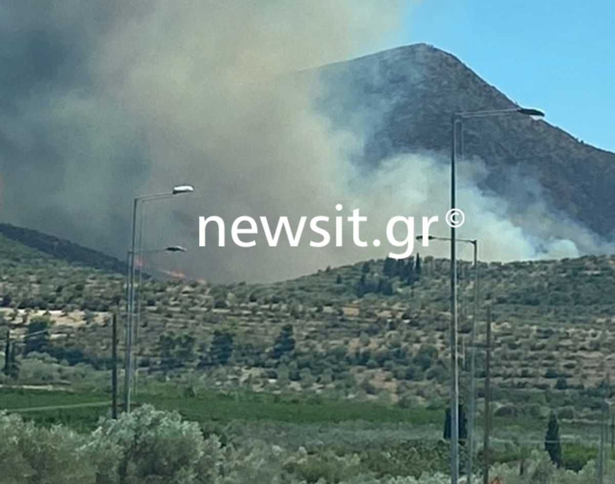 Φωτιά στις Μυκήνες: Εκκενώνεται ο αρχαιολογικός χώρος (video, pics)