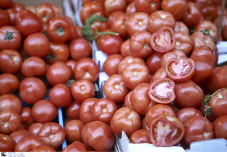 Ντομάτα και σύκο έχουν υψηλή θρεπτική αξία – Τι μας προσφέρουν