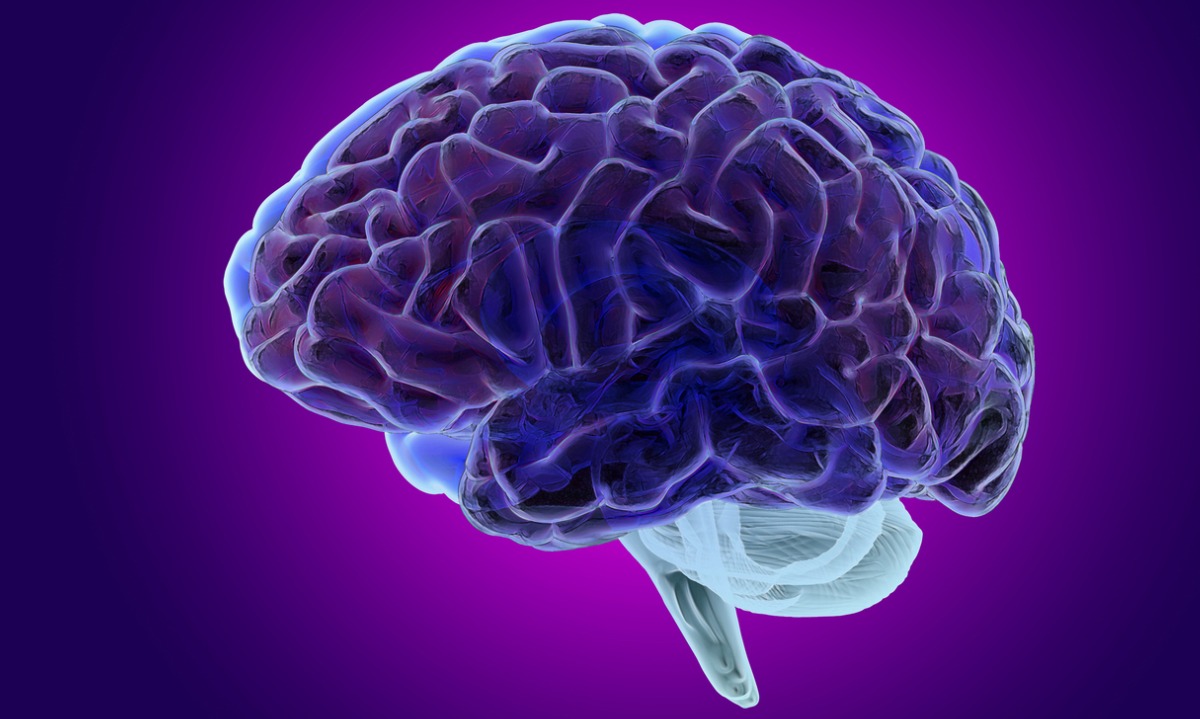 Εγκεφαλικό: Πανεπιστημιακό online εργαλείο προβλέπει τον κίνδυνο να πάθεις εγκεφαλικό