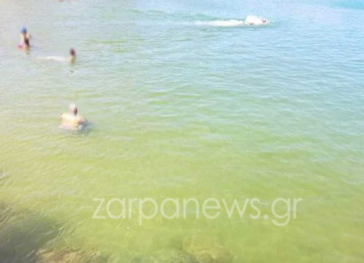 Χανιά: Κολυμπούσαν και ξαφνικά η θάλασσα άρχισε να γίνεται πράσινη! Οι επίμαχες εικόνες (Φωτό)