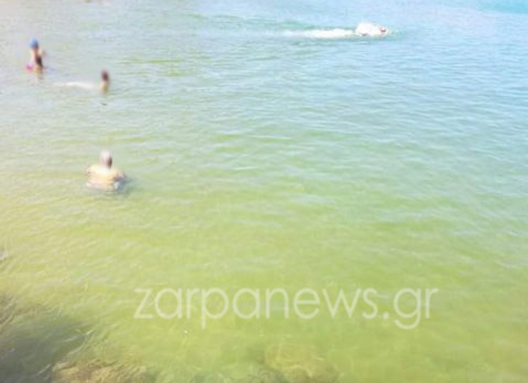 Χανιά: Κολυμπούσαν και ξαφνικά η θάλασσα άρχισε να γίνεται πράσινη! Οι επίμαχες εικόνες (Φωτό)