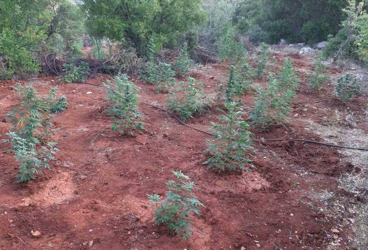 Αρκαδία: Το drone έφερε τους αστυνομικούς σε αυτή την πλαγιά! Αυτοψία μετά το δέσιμο της υπόθεσης (Φωτό)