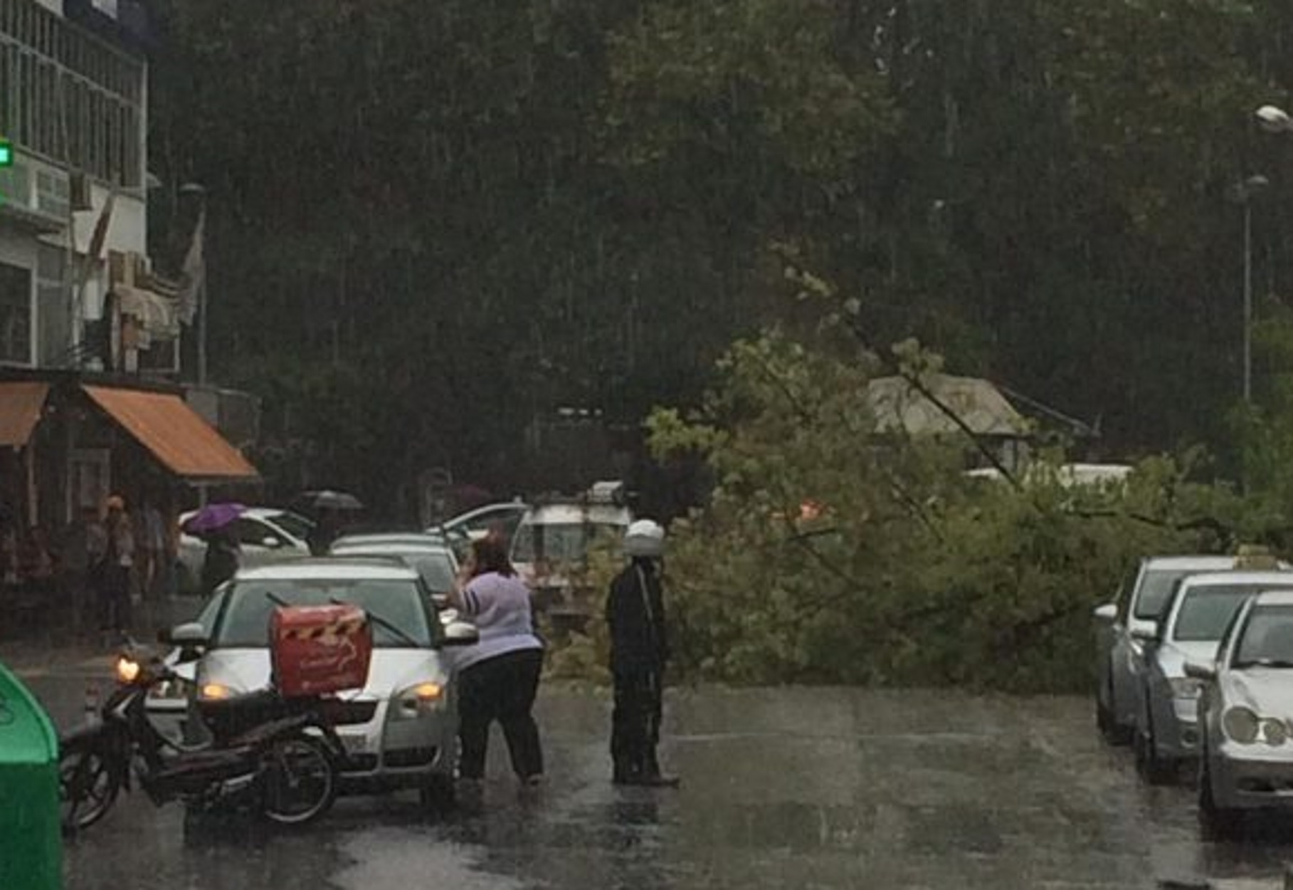 Καρδίτσα – Ιανός: Δέντρο έπεσε στην κεντρική πλατεία – “Άγιο” είχαν πεζοί και οδηγοί (pics)