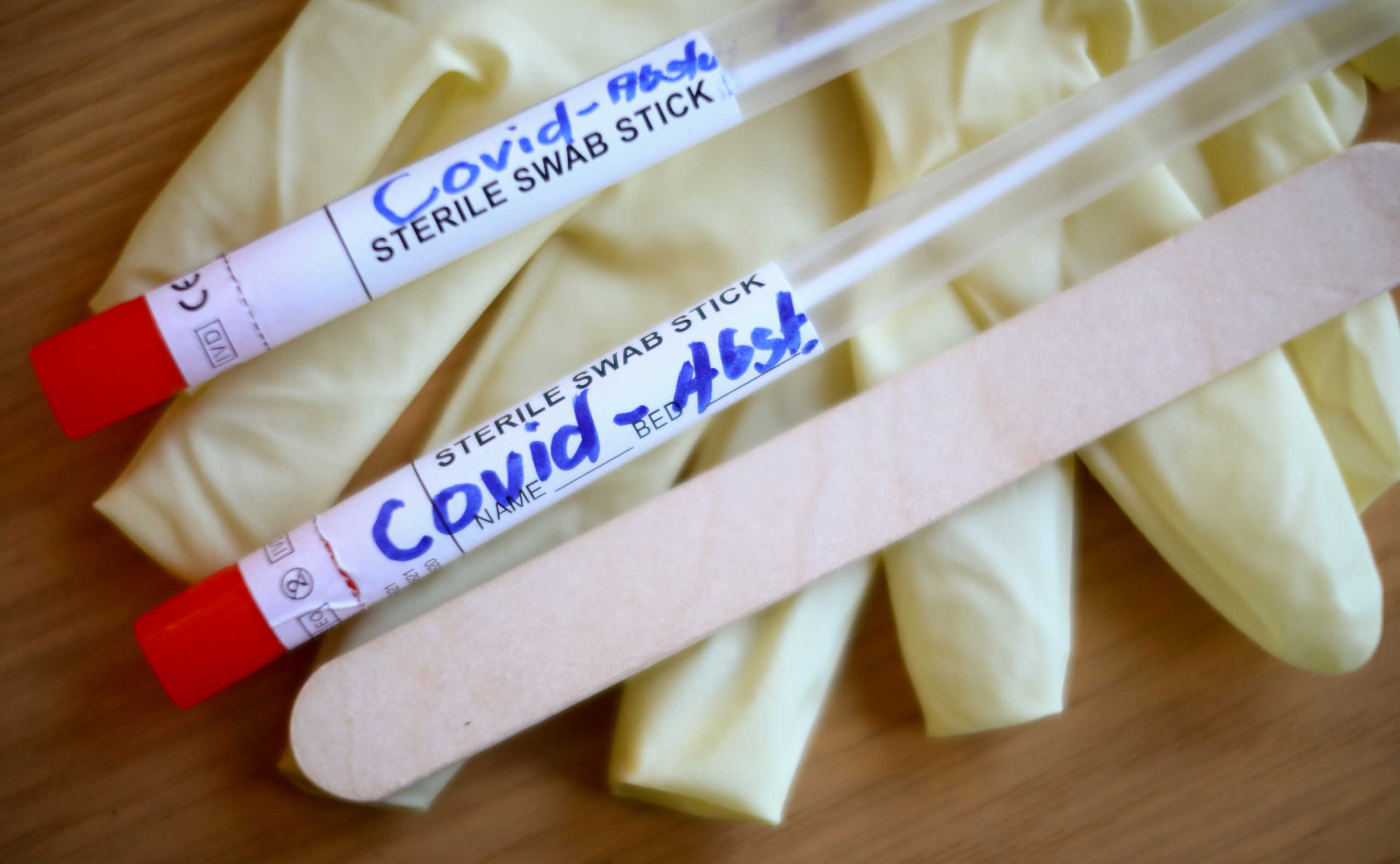 Swab samples for the coronavirus disease (COVID-19) tests are pictured in Berlin, Germany September 22, 2020. REUTERS