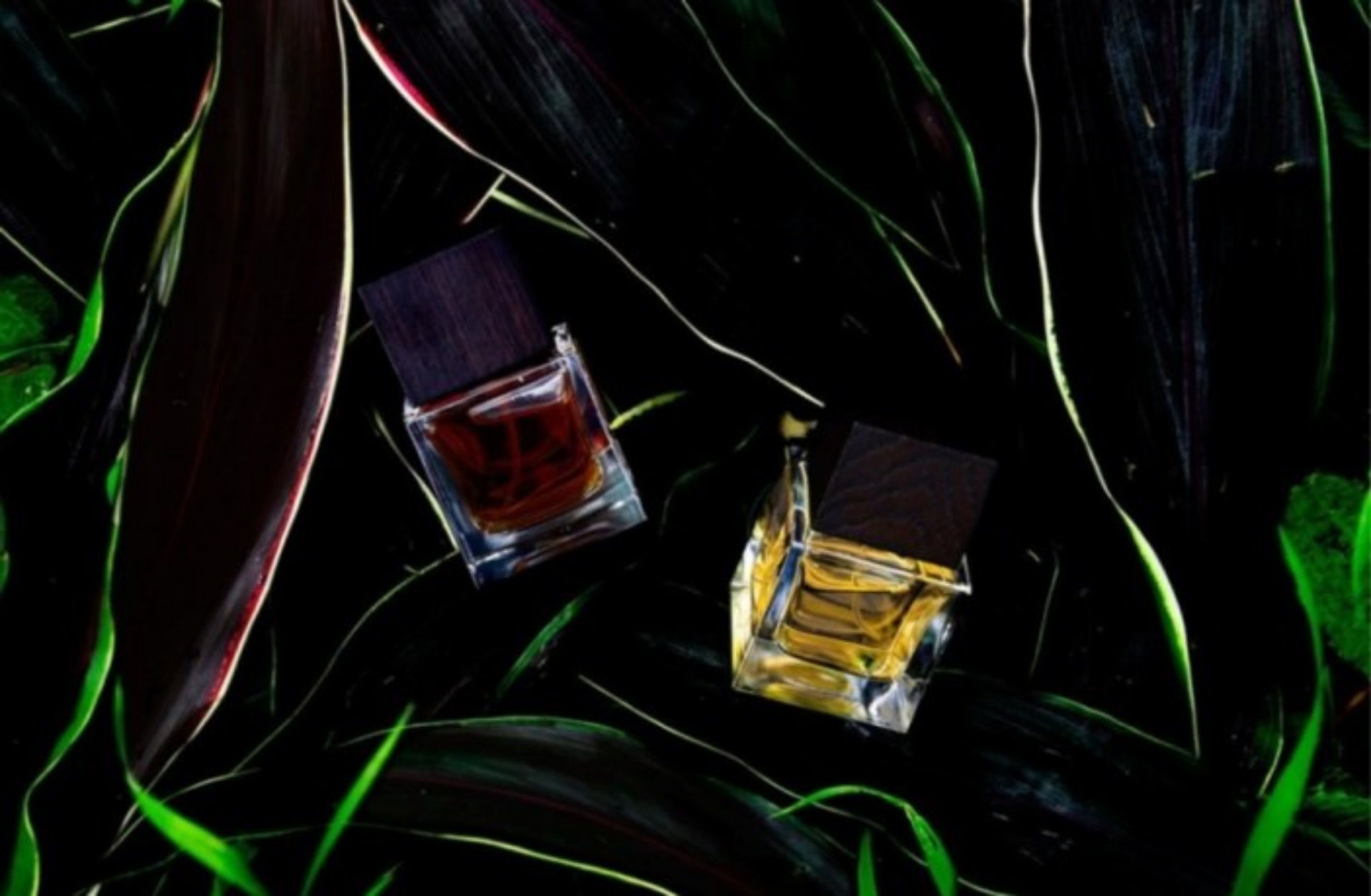 Ένα άρωμα αξίας 1.000 δολαρίων! Χρειάστηκαν 15 χρόνια για να κατασκευαστεί