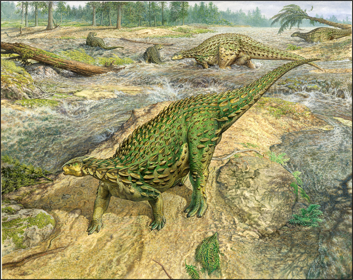 A life reconstruction of the Jurassic Period dinosaur Scelidosaurus, which lived roughly 193 million years ago, is seen in this artist's rendition released by the University of Cambridge August 27, 2020.  John Sibbick