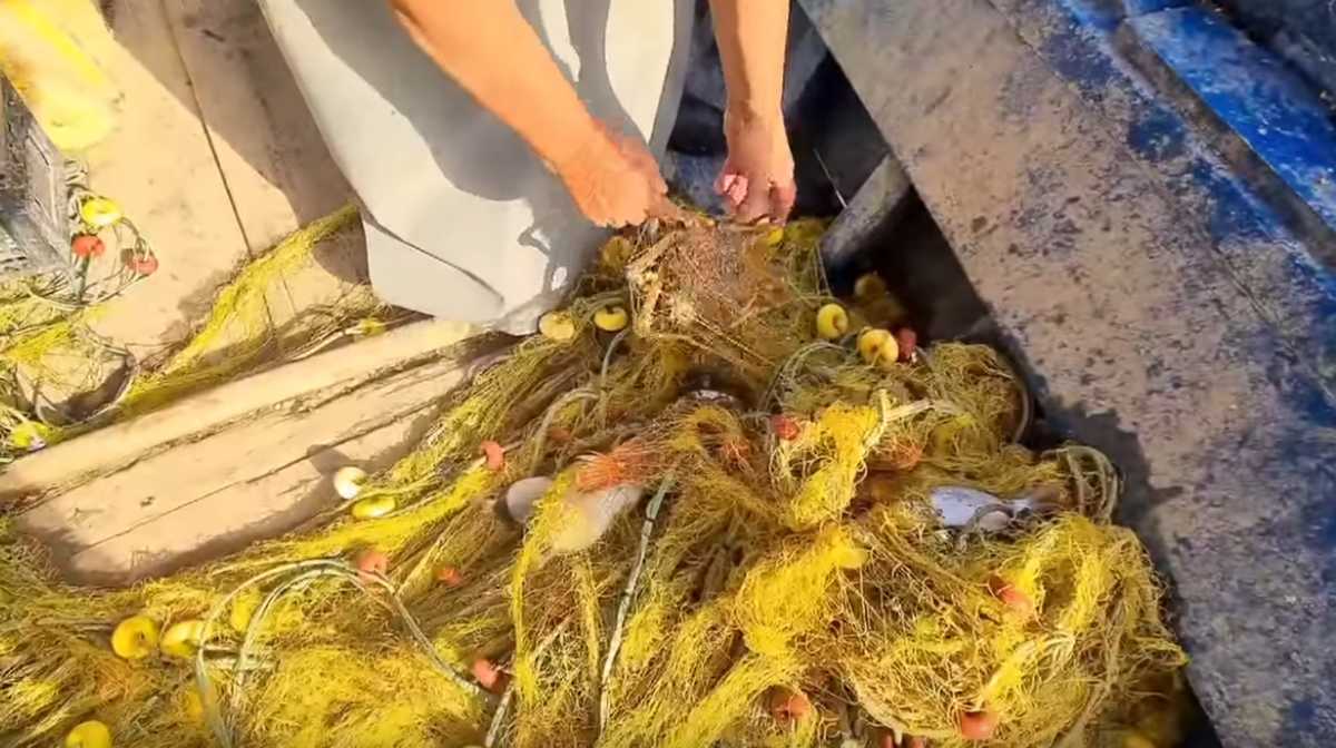Βόλος: Έλυσε τη σιωπή του ο ψαράς που κατηγορείται ότι ξαναπέταξε στη θάλασσα το πτώμα ψαροντουφεκά
