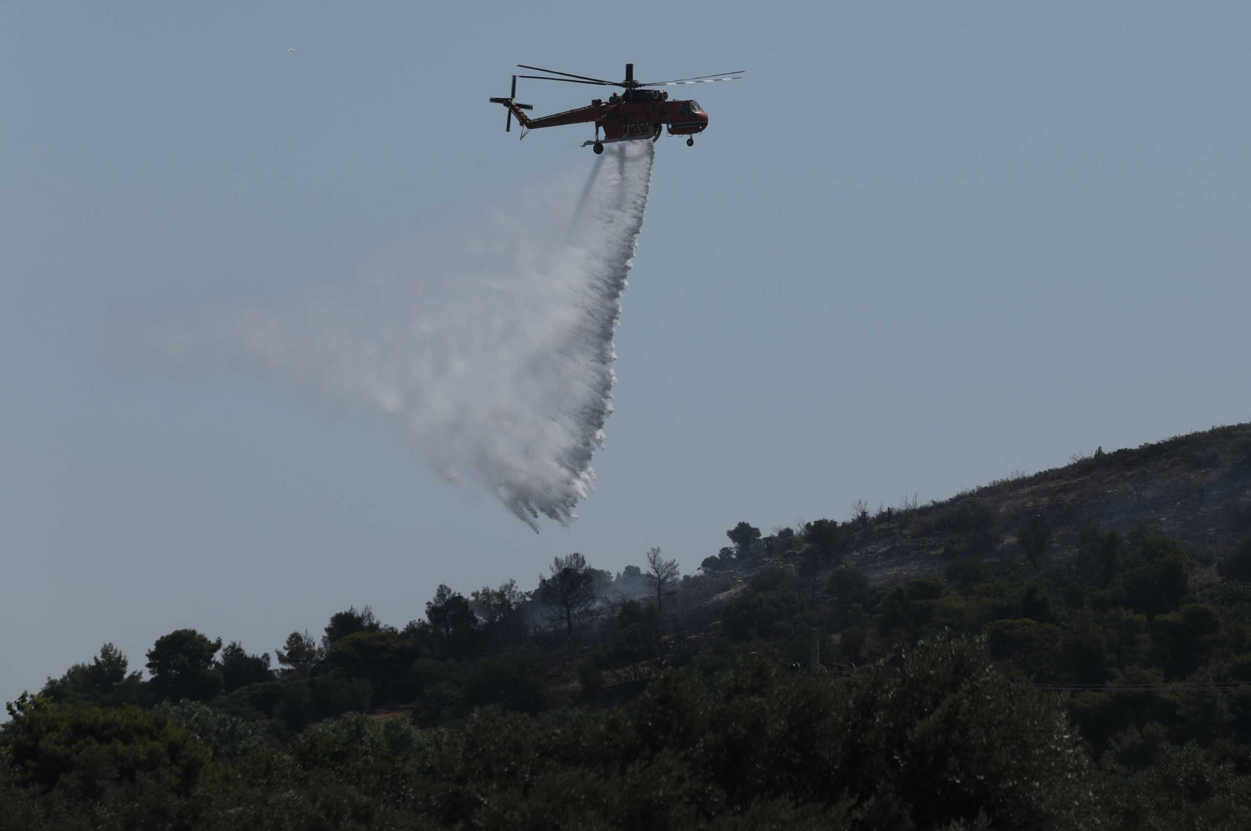 Φωτιά στον Άγιο Νίκωνα στη Μεσσηνία